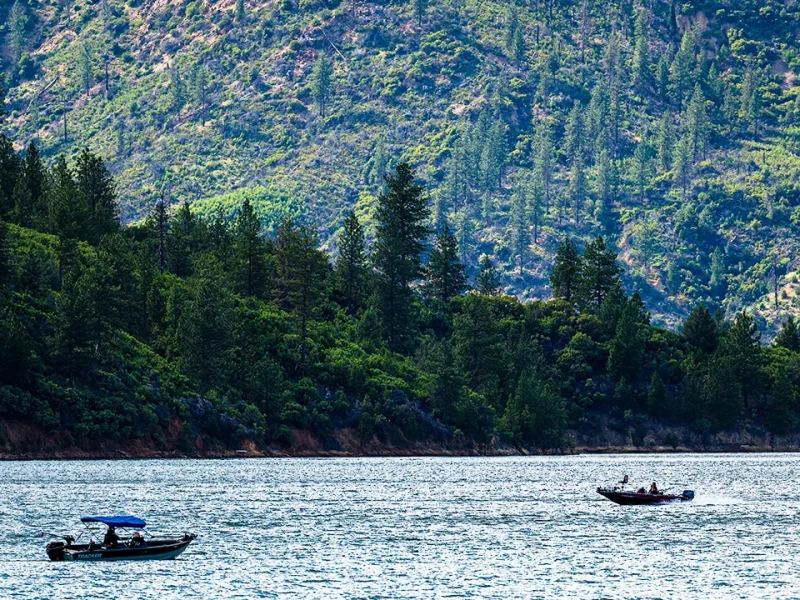 Forest service workers rescued after kidnapping in California national forest