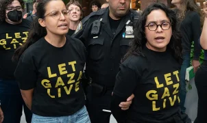 New York House candidate Claire Valdez draws Fourth of July backlash