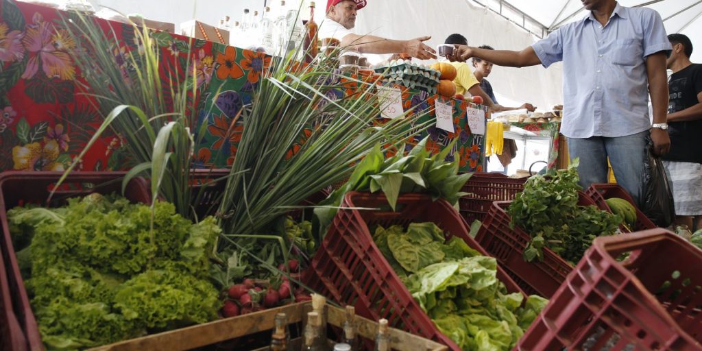 Governo adia para janeiro de 2027 exigência de CNPJ para autônomos e produtores rurais
