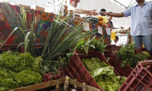 Governo adia para janeiro de 2027 exigência de CNPJ para autônomos e produtores rurais