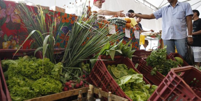 Governo adia para janeiro de 2027 exigência de CNPJ para autônomos e produtores rurais