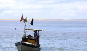 Caixa inicia pagamento de R$ 874 milhões em seguro-defeso retroativo a pescadores artesanais