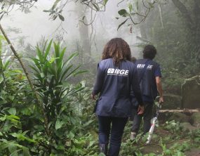IBGE encerra inscrições para 8,2 mil vagas temporárias do Censo Agropecuário nesta quinta-feira (9)