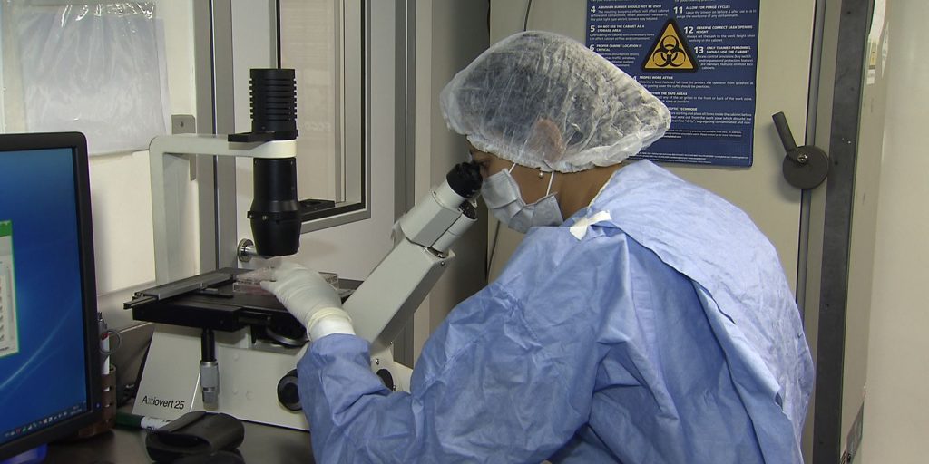 Novos casos de remissão do HIV após transplante de células-tronco são anunciados no Rio