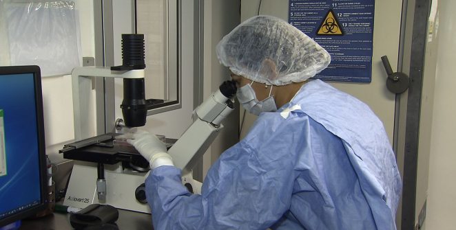 Novos casos de remissão do HIV após transplante de células-tronco são anunciados no Rio