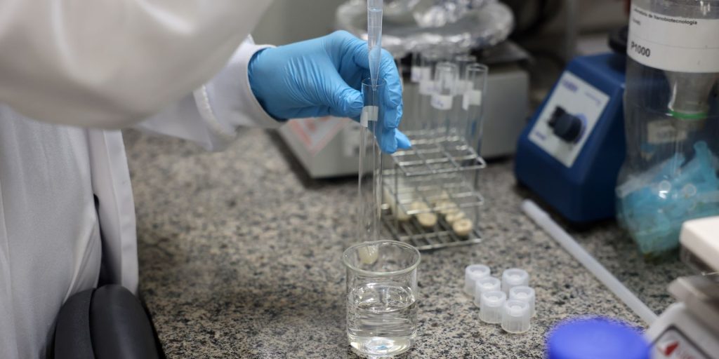 SBPC lança chamado para governadores priorizarem ciência nas eleições de 2026