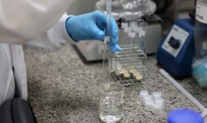 SBPC lança chamado para governadores priorizarem ciência nas eleições de 2026