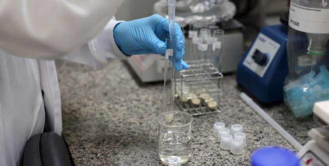 SBPC lança chamado para governadores priorizarem ciência nas eleições de 2026
