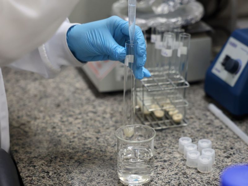 SBPC lança chamado para governadores priorizarem ciência nas eleições de 2026