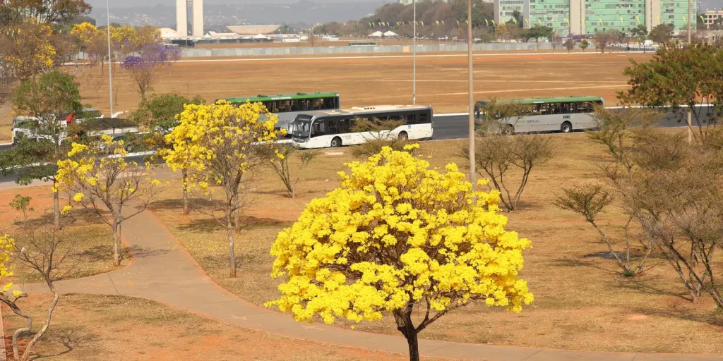 Inmet emite três alertas no Centro-Oeste para chuvas e baixa umidade
