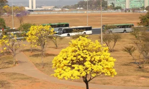 Inmet emite três alertas no Centro-Oeste para chuvas e baixa umidade