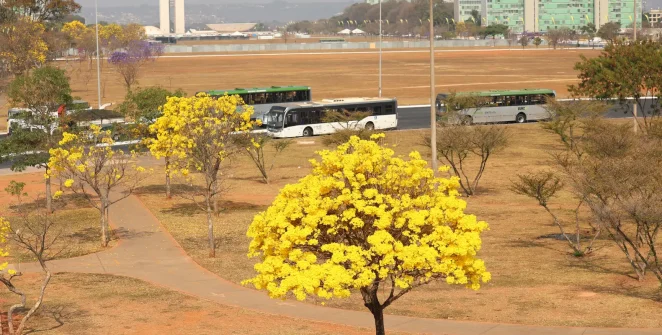 Inmet emite três alertas no Centro-Oeste para chuvas e baixa umidade
