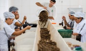 Consulta pública sobre bens sustentáveis no acordo Mercosul-UE termina na quarta-feira
