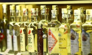 Cadeia produtiva da cachaça registra maior alta de estabelecimentos desde 2018
