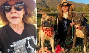 Atriz Linda Blair, de O Exorcista, se pronuncia após vistoria em sua propriedade por suposto canil com mais de 100 cães
