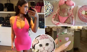 Kylie Jenner celebra 29 anos com festa temática de gatos em Los Angeles; Timothée Chalamet não aparece