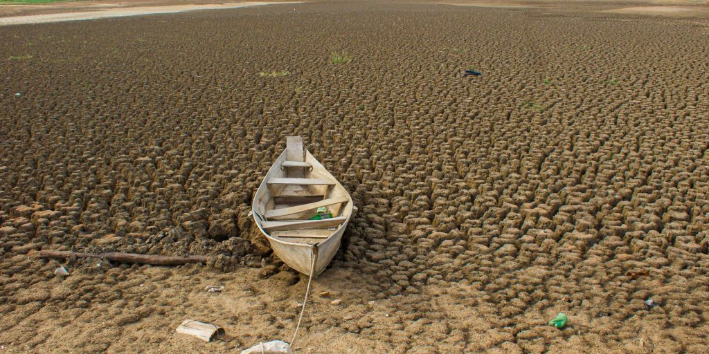 Brasil anuncia metas de neutralidade da degradação da terra na COP17