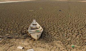 Brasil anuncia metas de neutralidade da degradação da terra na COP17