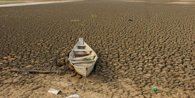 Brasil anuncia metas de neutralidade da degradação da terra na COP17