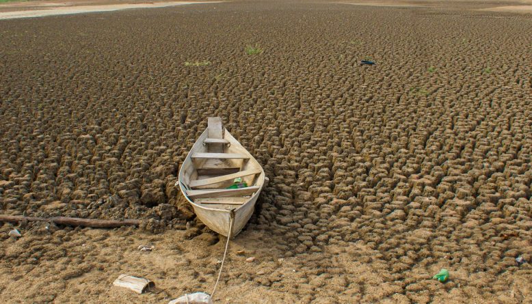 Brasil anuncia metas de neutralidade da degradação da terra na COP17