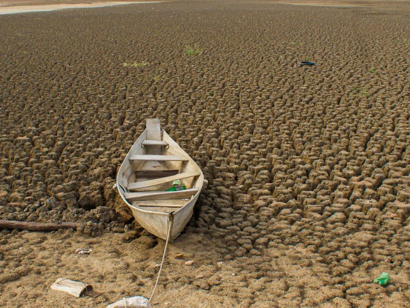 Brasil anuncia metas de neutralidade da degradação da terra na COP17