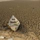 Brasil anuncia metas de neutralidade da degradação da terra na COP17