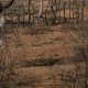 COP 17 sobre desertificação começa na Mongólia com foco na seca e na degradação do solo