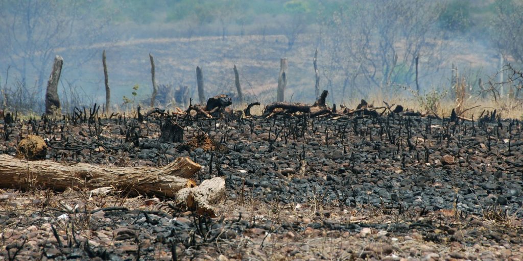 Sociedade civil critica agenda da COP17 por excluir gênero e participação social