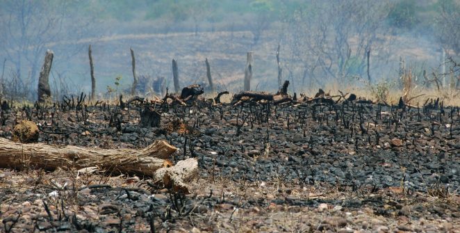 Sociedade civil critica agenda da COP17 por excluir gênero e participação social