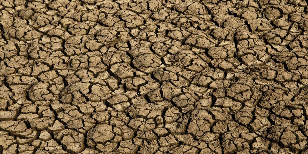 Desertificação avança no Brasil e coloca em risco segurança hídrica e alimentar de milhões