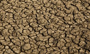 Desertificação avança no Brasil e coloca em risco segurança hídrica e alimentar de milhões