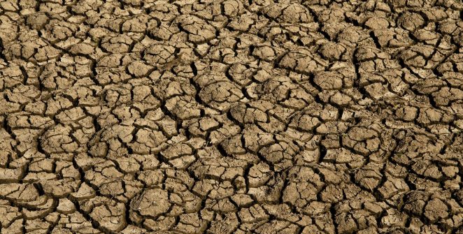 Desertificação avança no Brasil e coloca em risco segurança hídrica e alimentar de milhões