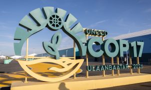 Consórcio Nordeste busca financiamento para projetos na Caatinga durante COP17
