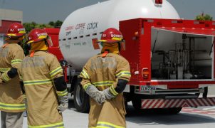 Bombeiros do Rio superam 18 mil resgates de animais em 2026, de cães a baleias