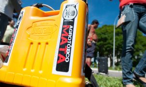 Sete dos dez agrotóxicos mais vendidos no Brasil são proibidos na União Europeia, aponta pesquisadora