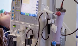Subdiagnóstico da doença renal crônica no Brasil preocupa especialistas
