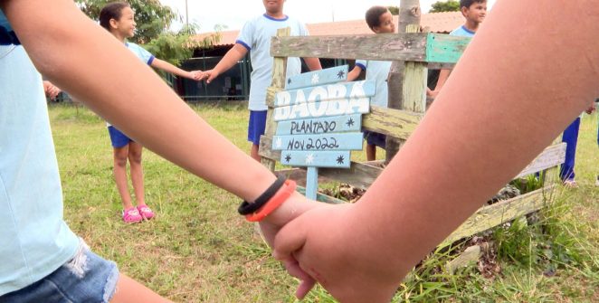 TV Brasil investiga a construção da identidade parda em nova edição do Caminhos da Reportagem