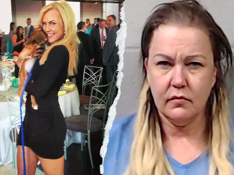 Angelynn Mock, Fox 2 anchor, pleads guilty to murdering her mother