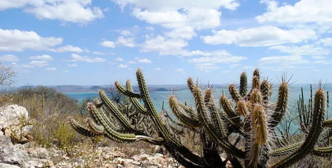 Consórcio Nordeste busca financiamento para projetos de adaptação à seca na COP17