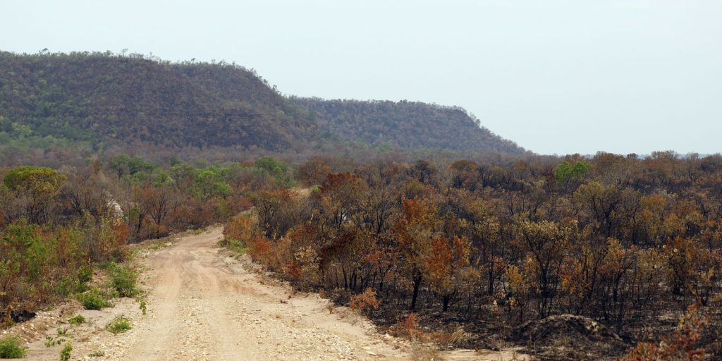 MapBiomas: perda de vegetação nativa aumenta exposição do país ao El Niño