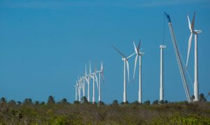Projeto percorre nove estados do Nordeste para mapear oportunidades de economia verde