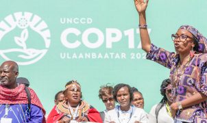 COP17: EUA são alvo de críticas por barrar pautas de gênero e participação social