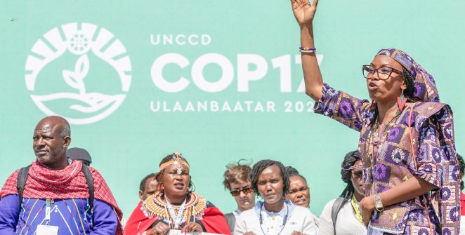 COP17: EUA são alvo de críticas por barrar pautas de gênero e participação social