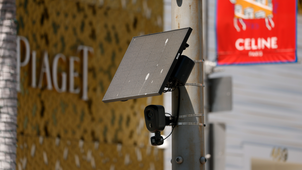 A Flock camera