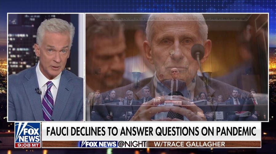 Trace Gallagher: The media was complicit in Dr Fauci’s failures
