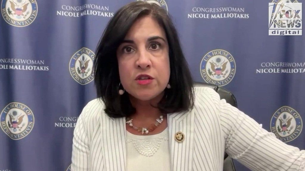 Malliotakis acusa democratas de hipocrisia sobre identificação de eleitores no Congresso