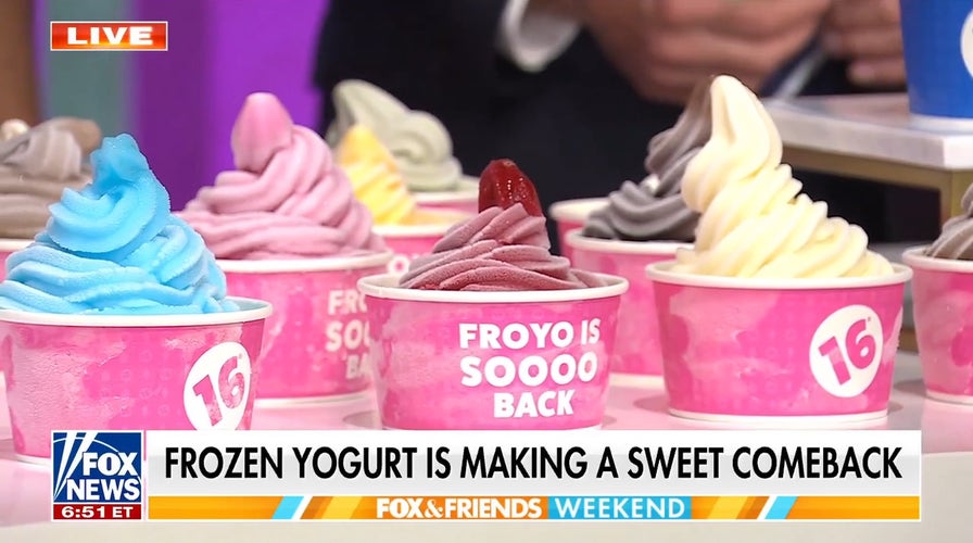 16 Handles CEO Neil Hershman details frozen yogurt