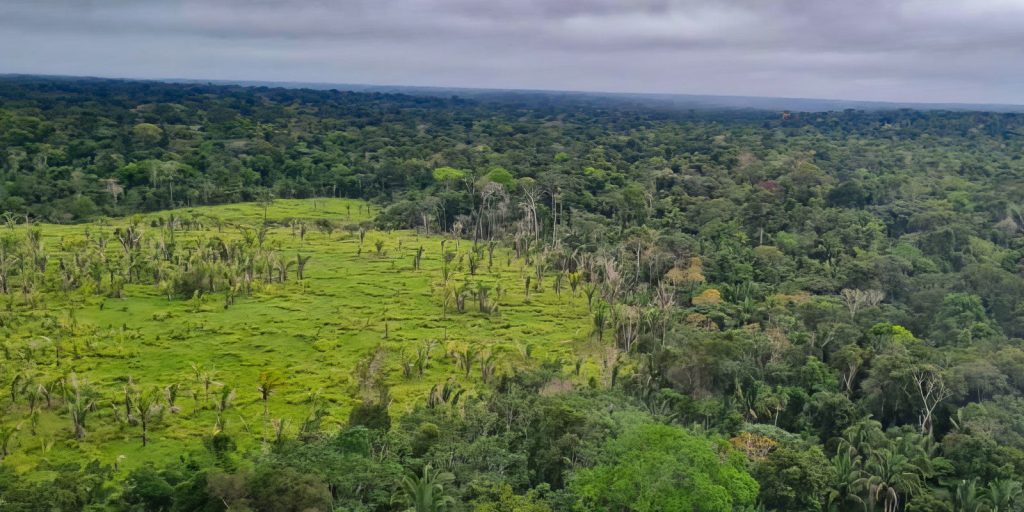Desmatamento zero em 60% das terras indígenas da Amazônia, aponta Imazon