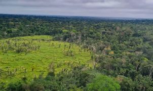 Desmatamento zero em 60% das terras indígenas da Amazônia, aponta Imazon