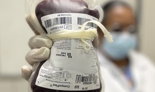 Junho Vermelho: sancionada lei que incentiva doação de sangue no país